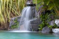 A Lucious Waterfall surrounded by Tropical Plants