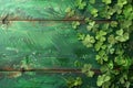 Luck of the Irish: Shamrocks on a Wooden Surface Royalty Free Stock Photo