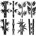 Lucky bamboo (Dracaena sanderiana) Pot Plant Icon Set, Lucky bamboo Plant Flat Design, Lucky bamboo Symbols Royalty Free Stock Photo