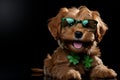 Lucky Canine Fashion. Green Glasses-Wearing Dog Delights in St. Patricks Day Festivities
