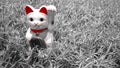 lucky cat, japanese doll ingot mean symbol good luck charm. closeup white figurine known as Maneki Neko. Royalty Free Stock Photo