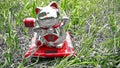 lucky cat, japanese doll ingot mean symbol of good luck charm, with silver red figurine known as maneki neko. Royalty Free Stock Photo
