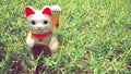 lucky cat, japanese doll ingot mean symbol of luck charm, with white gold figurine known maneki neko. Royalty Free Stock Photo