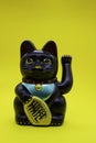 Lucky cat on a yellow background