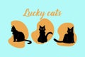 Lucky cats. Black fur kittens. Cute cartoon domestic animals. Veterinary poster. Fluffy pussycats. Phrase calligraphic