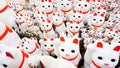 Lucky cats at Gotokuji-temple.