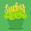 Lucky cupcake 16