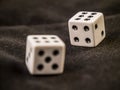 Lucky Dice. Double six. Winner combination. Royalty Free Stock Photo