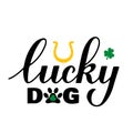 Lucky dog calligraphy hand lettering. Funny St. Patricks day quote typography poster. Vector template for greeting card