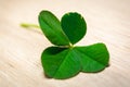 Lucky four leaf clover Royalty Free Stock Photo