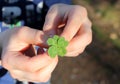 Lucky four leaf clover