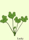 Lucky four leaf clover vector image. Royalty Free Stock Photo