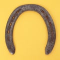 Lucky Horse Shoe