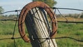 Lucky horse shoe Royalty Free Stock Photo