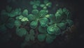 Lucky Irish Four Leaf Clover in the Field for St. Patricks Day. Close up of a bunch of green clover. Generative AI wallpaper