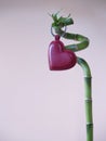 Lucky Love - Love heart & Bamboo Stick 4