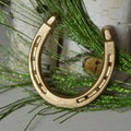 Lucky Metal Golden Horseshoe Royalty Free Stock Photo