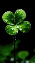 Lucky Shamrock Clover With Dew Drops for St. Patrick's Day. GenerativeAI