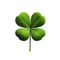 Lucky shamrock grass, four leaf clover isolated on white transparent Royalty Free Stock Photo