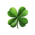 Lucky shamrock grass, four leaf clover isolated on white transparent Royalty Free Stock Photo