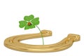 Lucky symbols golden horseshoe shamrock and ladybug isolated on Royalty Free Stock Photo