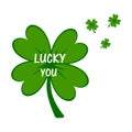 Lucky you. Irish St. Patrick`s Day green clover Royalty Free Stock Photo