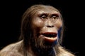 Lucy neanderthal cro-magnon female isolated on black Royalty Free Stock Photo