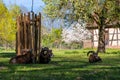 Ludwigsburg Castle Favoriten park with Lamb Muflon in spring time with beautiful garden with flower and green grass and blue sky