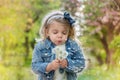 lue-eyed little blond girl blowing dandelion outdoors Royalty Free Stock Photo