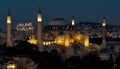 lue Mosque in Istanbul at night