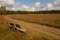 Lueneburg Heath in the autum Royalty Free Stock Photo