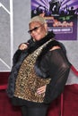 Luenell Royalty Free Stock Photo