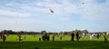 Luenen, Kite Festival in Luenenor Drachenfest LÃÂ¼nen.All day flying different kites to music and moderation