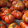 Lufa Farms Beefsteak Tomato