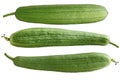 Luffa Fruits