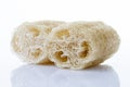 Luffa, loofa natural vegetable fiber for body scrubbing Royalty Free Stock Photo