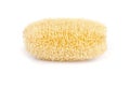 Luffa sponge.