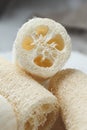 Luffa sponge for zero waste washing or bath Royalty Free Stock Photo