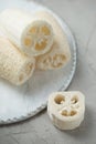 Luffa sponge for zero waste washing or bath Royalty Free Stock Photo