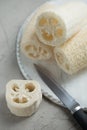 Luffa sponge for zero waste washing or bath Royalty Free Stock Photo