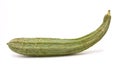 Luffa Squash Royalty Free Stock Photo