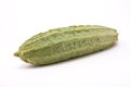 Luffa Squash