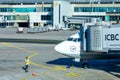 Lufthansa aircraft at the apron of Frankfurt international airport Royalty Free Stock Photo