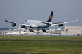 Lufthansa Airbus A340 plane landing at Frankfurt Airport FRA Royalty Free Stock Photo