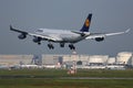 Lufthansa Airbus A340 plane landing at Frankfurt Airport FRA Royalty Free Stock Photo