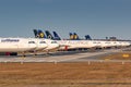 Lufthansa Airplanes grounded at Frankfurt