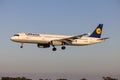 Lufthansa A321 on final approach in the late evening