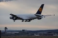 Lufthansa A380 plane landing on Frankfurt Airport FRA Royalty Free Stock Photo