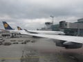 Lufthansa planes airport frankfurt am main germany 2012