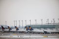 Lufthansa planes at terminal gates, Munich Airport Royalty Free Stock Photo